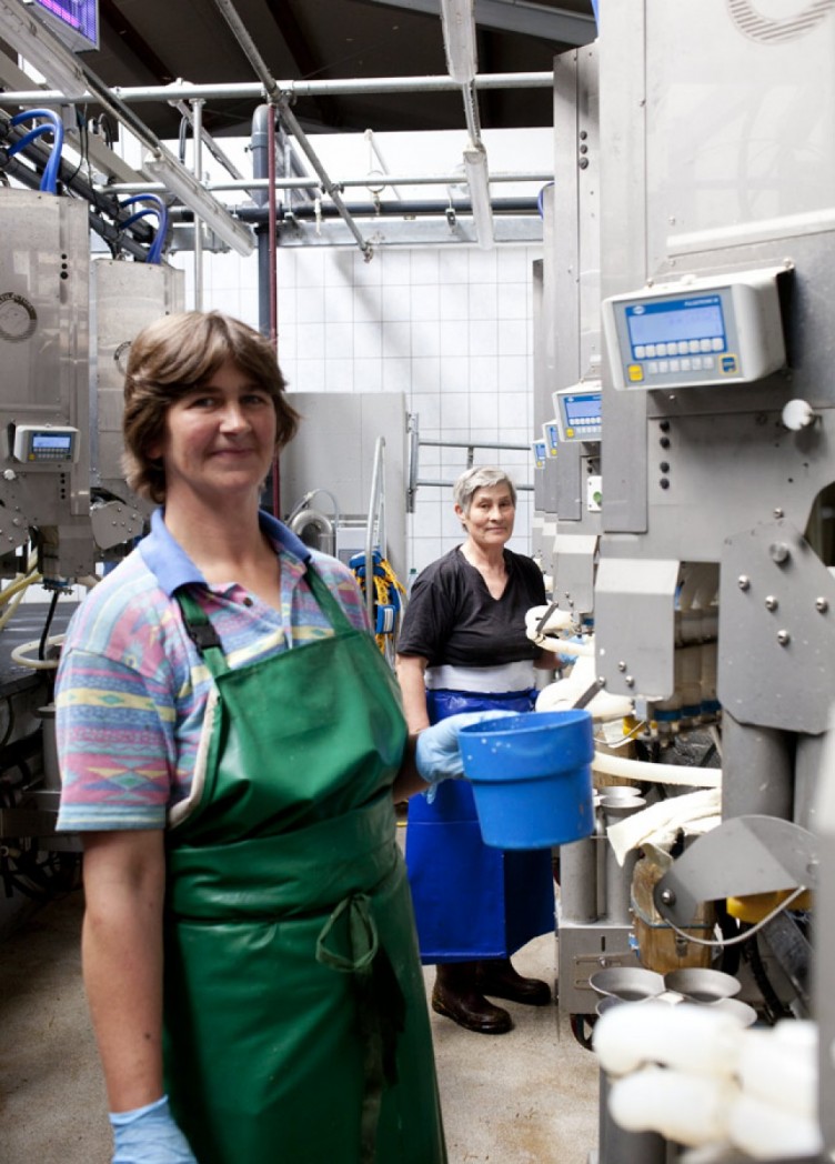 milchviehanlage schoellnitz. geschäftsbericht ktg-agrar