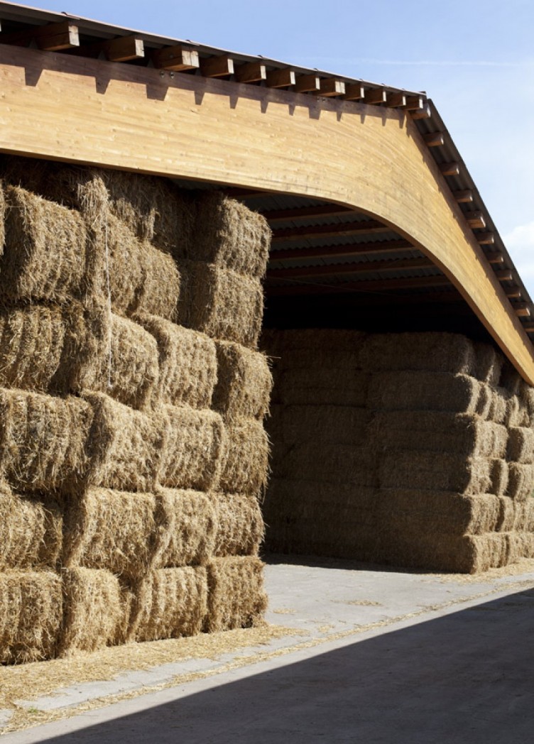 landwirtschafsbetrieb trusetal. geschäftsbericht ktg-agrar 