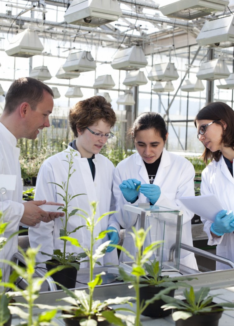 institut für chemische ökologie, imagebroschüre für max-planck-institut 