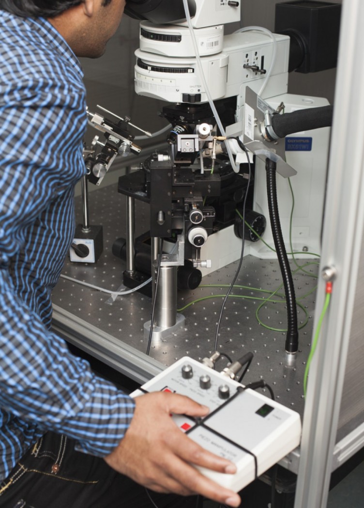 institut für chemische ökologie, imagebroschüre für max-planck-institut 