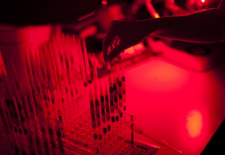 institut für chemische ökologie