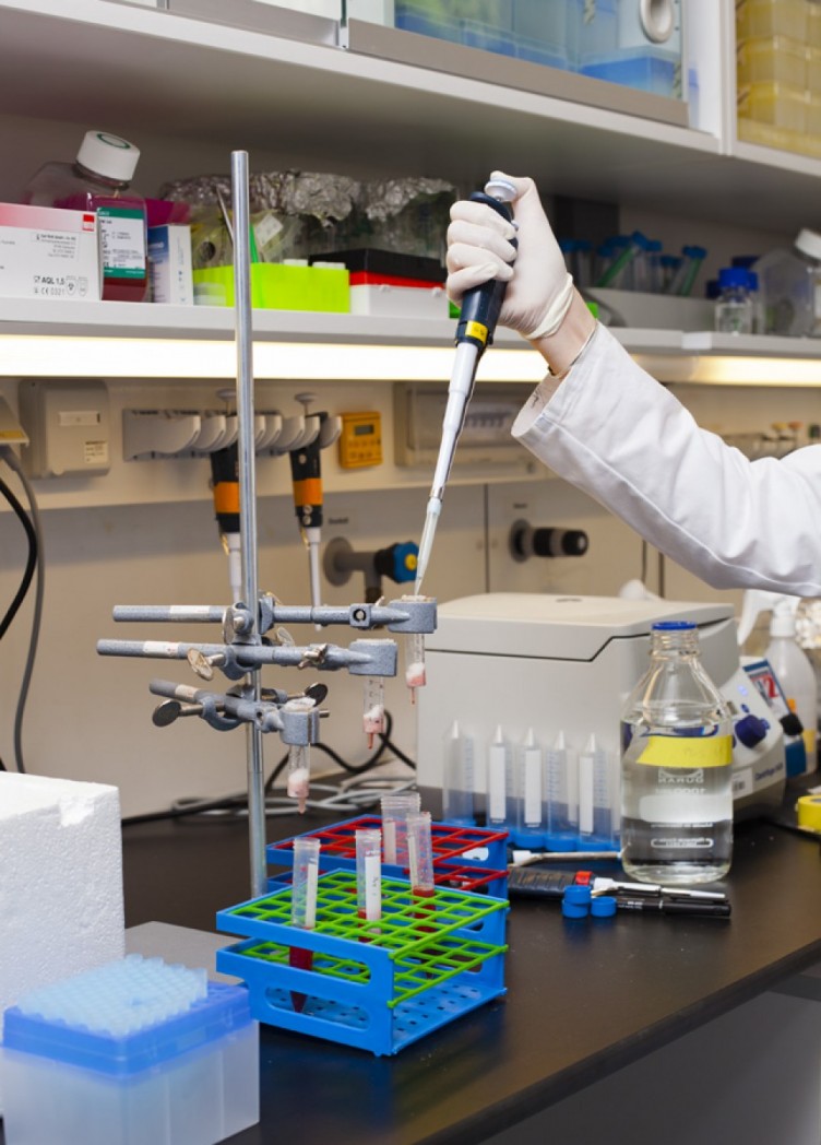 institut für malariaforschung. imagebroschüre für max-planck-institut 