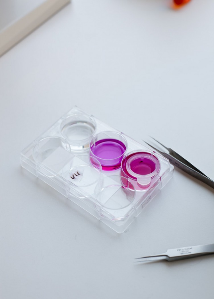 institut für malariaforschung. imagebroschüre für max-planck-institut 