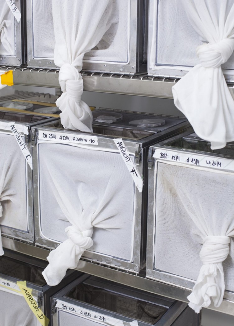 institut für malariaforschung. imagebroschüre für max-planck-institut