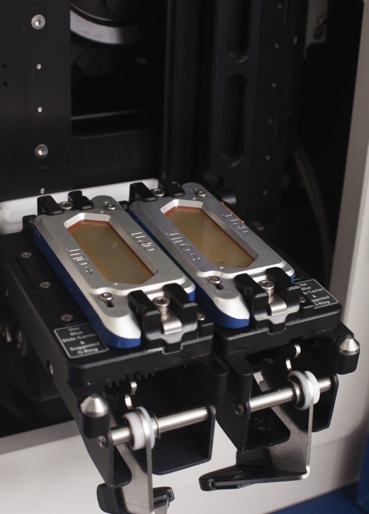 institut für molekulargenetik. imagebroschüre für max-planck-institut 