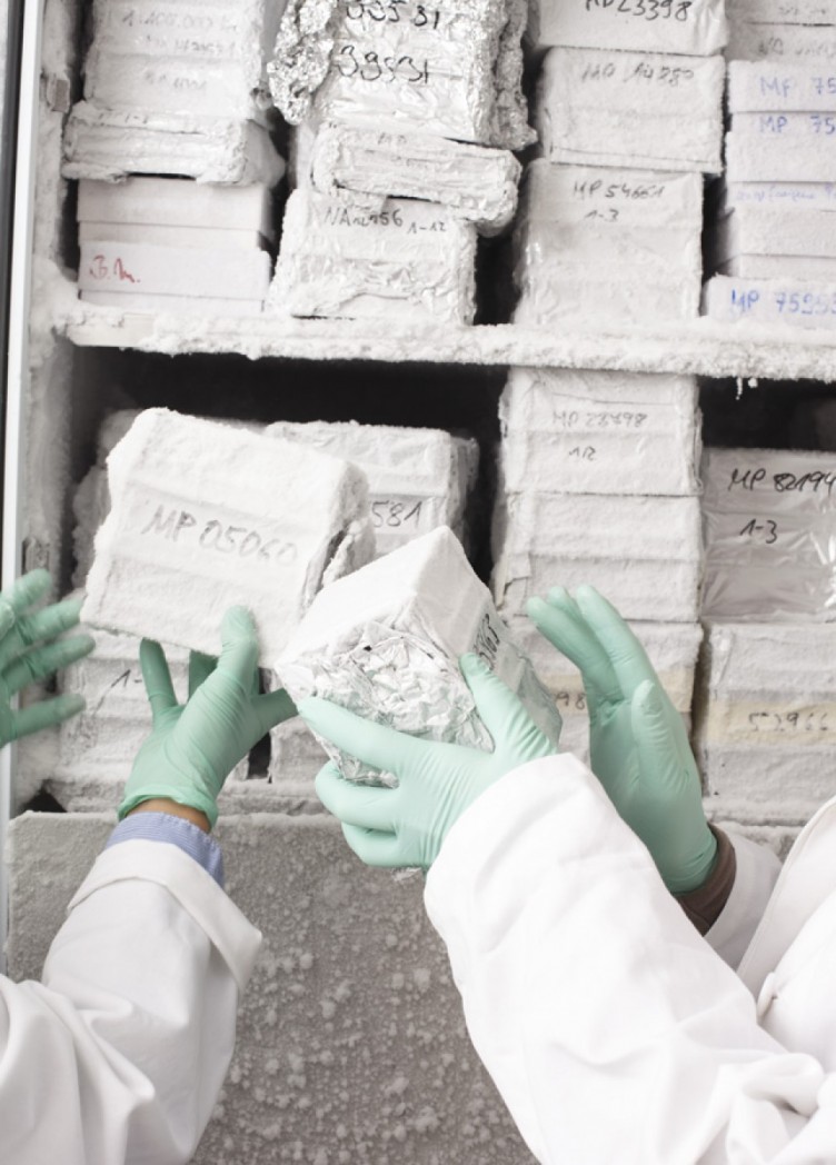 institut für molekulargenetik. imagebroschüre für max-planck-institut 