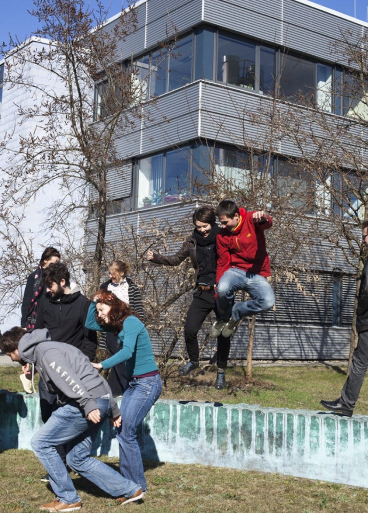 institut für molekulare pflanzenphysiologie, imagebroschüre für max-planck-institut 