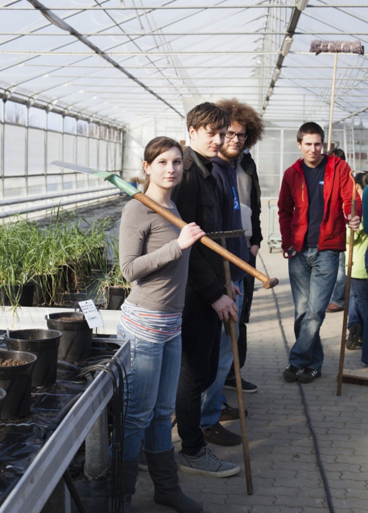 institut für molekulare pflanzenphysiologie, imagebroschüre für max-planck-institut 