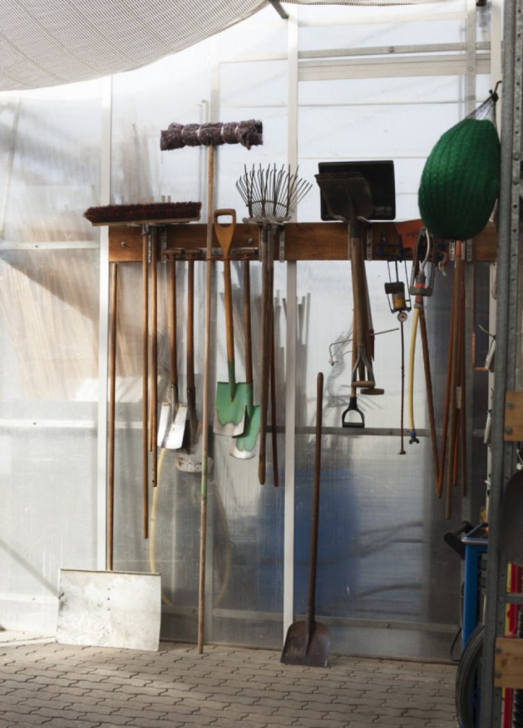 institut für molekulare pflanzenphysiologie, imagebroschüre für max-planck-institut 