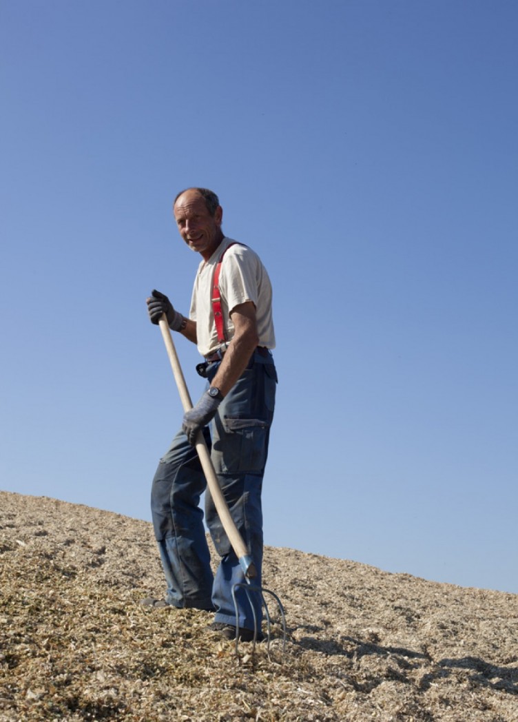 maisernte seelow. imagebroschuere für ktg-agrar