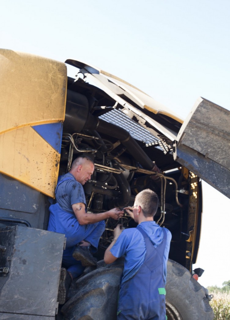 maisernte seelow. imagebroschüre für ktg-agrar