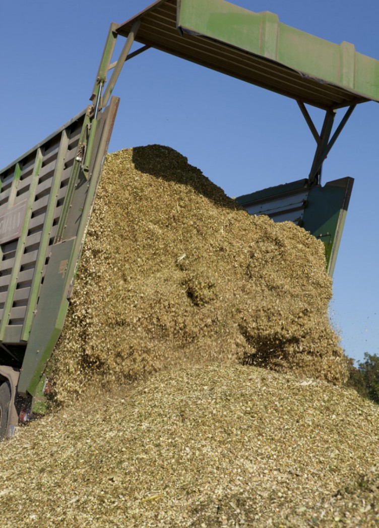 maisernte seelow. imagebroschuere für ktg-agrar