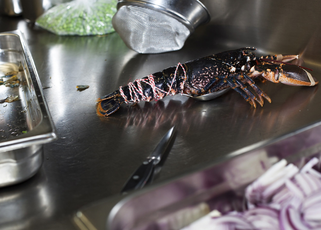 sven elverfeld. caminada magazin