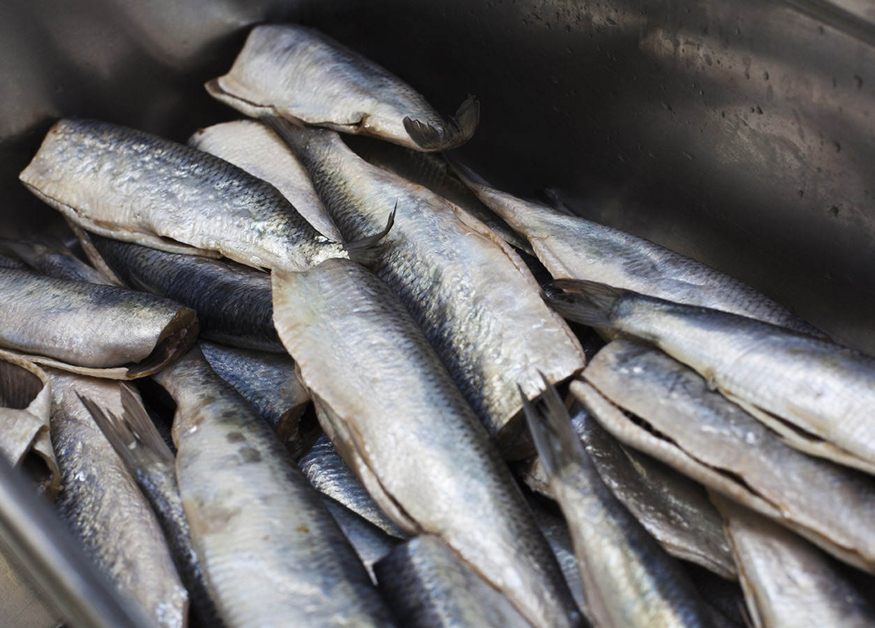 sven elverfeld. caminada magazin