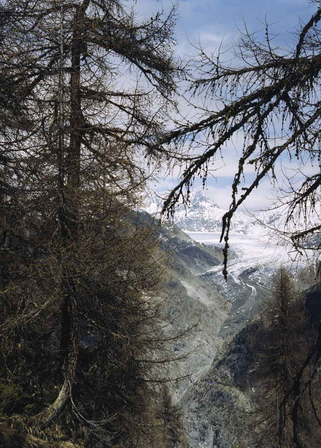 aletschgletscher. greenpeace magazin